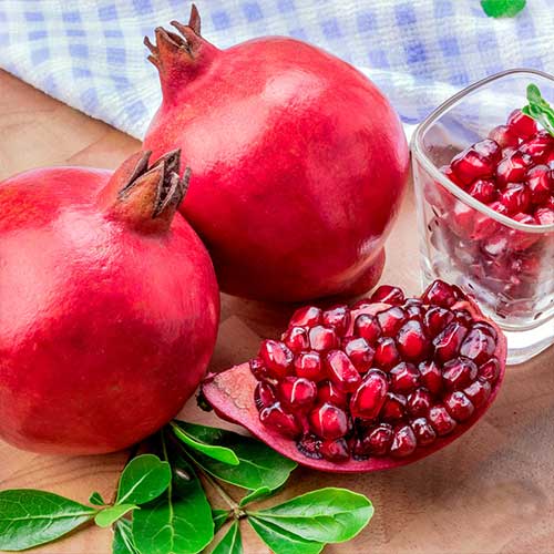 Гранат Красный изображение 1 артикул 4173