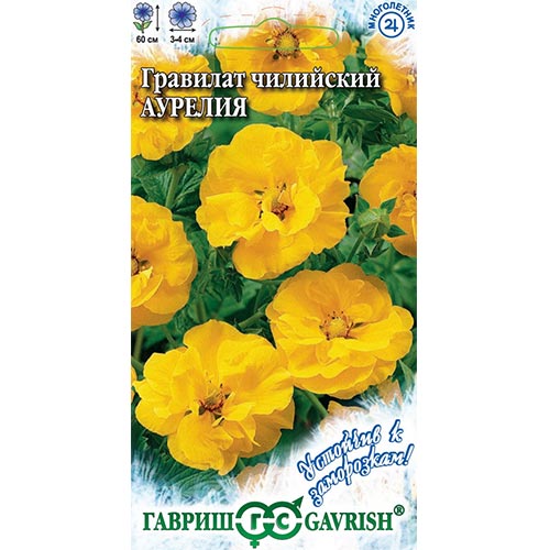 Гравилат Аурелия Гавриш изображение 1 артикул 92037