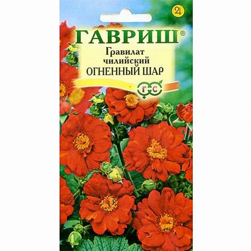 Гравилат Огненный шар Гавриш изображение 1 артикул 92038