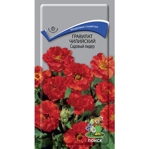 Гравилат Садовый лидер Поиск изображение 1 артикул 92959