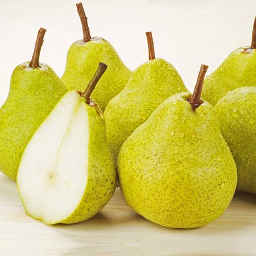 Груша Кюре изображение 1 артикул 4195