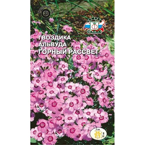 Гвоздика альпийская Горный рассвет Седек изображение 1 артикул 93721
