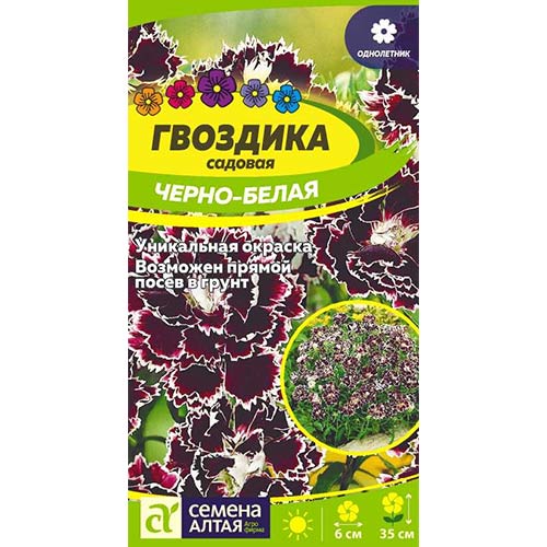 Гвоздика Геддевига Черно-белая Семена Алтая артикул фото 1 Гвоздика Геддевига Черно-белая Семена Алтая изображение 1 артикул 78136