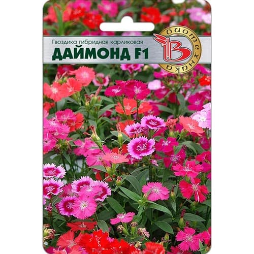 Гвоздика гибридная Даймонд F1, смесь окрасок Биотехника изображение 1 артикул 91583