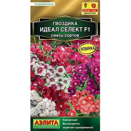 Гвоздика гибридная Идеал селект F1, смесь окрасок Аэлита изображение 1 артикул 40326