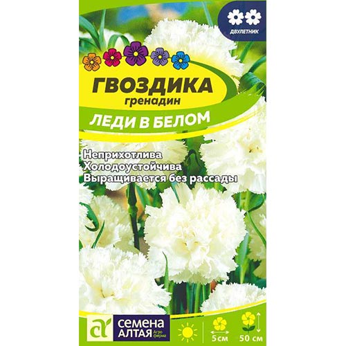 Гвоздика гренадин Леди в белом Семена Алтая изображение 1 артикул 94154