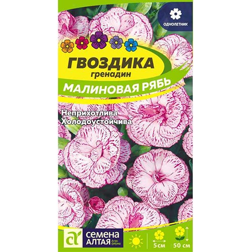 Гвоздика гренадин Малиновая рябь Семена Алтая изображение 1 артикул 94155