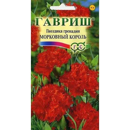 Гвоздика гренадин Морковный Король Гавриш изображение 1 артикул 92007