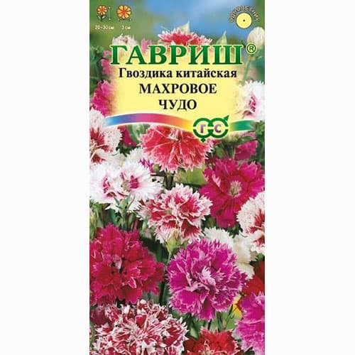 Гвоздика садовая Гренадин Роза Гавриш артикул фото 1 Гвоздика садовая Гренадин Роза Гавриш изображение 1 артикул 71169