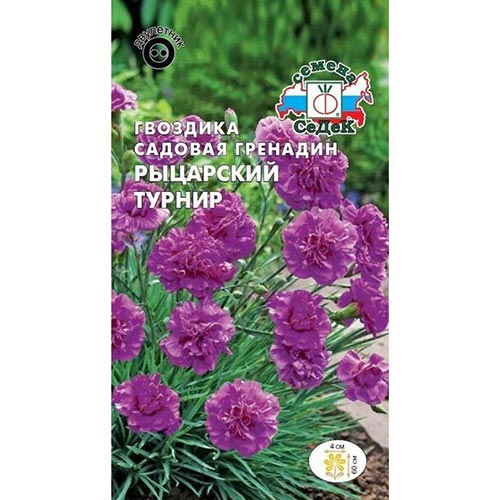 Гвоздика гренадин Рыцарский турнир Седек изображение 1 артикул 93724