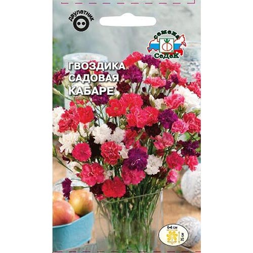 Гвоздика Кабаре, смесь окрасок Седек изображение 1 артикул 93725