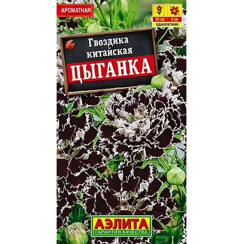Гвоздика китайская Цыганка Аэлита артикул фото 1 Гвоздика китайская Цыганка Аэлита изображение 1 артикул 40333