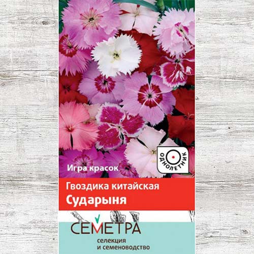 Гвоздика китайская Сударыня, смесь окрасок артикул фото 1 Гвоздика китайская Сударыня, смесь окрасок изображение 1 артикул 82098
