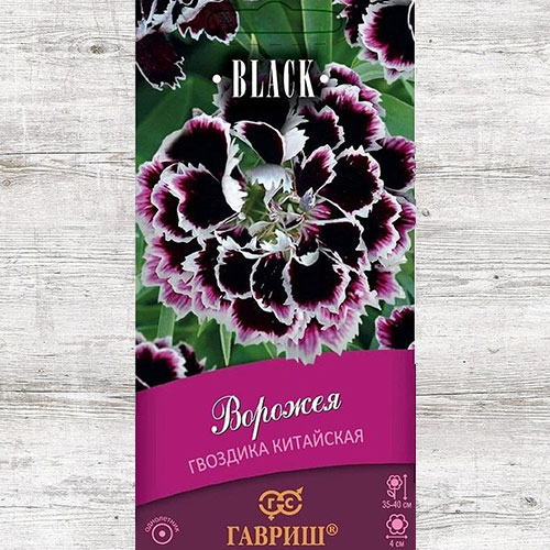 Гвоздика китайская Ворожея Гавриш изображение 1 артикул 66054