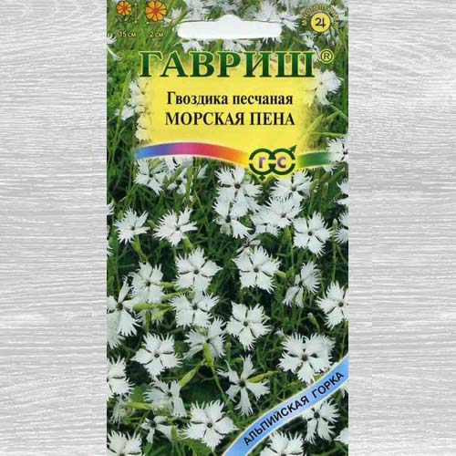 Гвоздика песчаная Морская пена Гавриш изображение 1 артикул 73734
