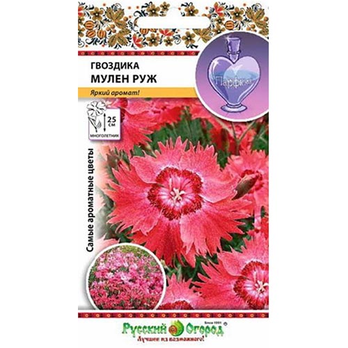 Гвоздика Мулен Руж НК изображение 1 артикул 92487
