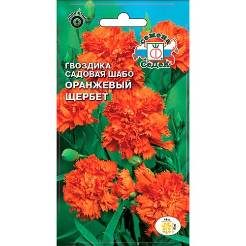 Гвоздика Оранжевый щербет Седек изображение 1 артикул 93727