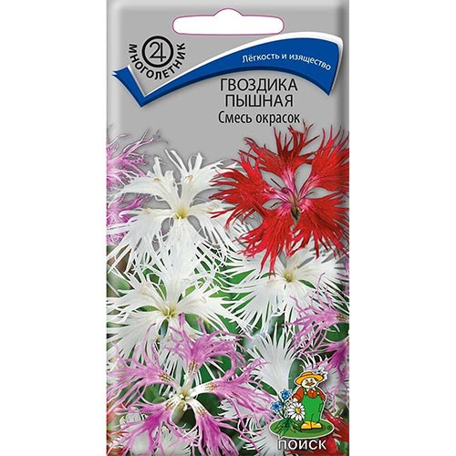 Гвоздика пышная, смесь окрасок Поиск изображение 1 артикул 92937