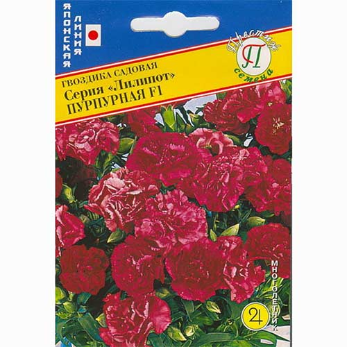 Гвоздика садовая Лилипот пурпурная F1 Престиж изображение 1 артикул 73634