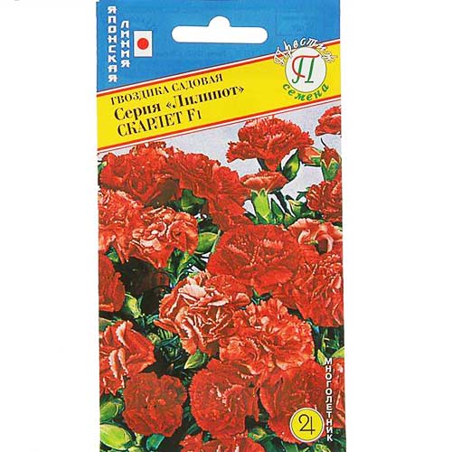 Гвоздика садовая Лилипот Скарлет F1 Престиж изображение 1 артикул 73635