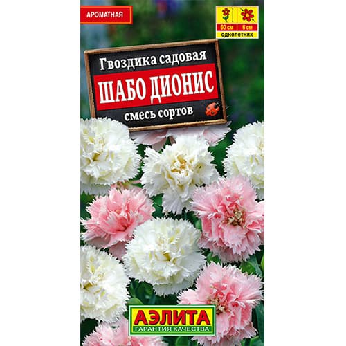 Гвоздика садовая Шабо Дионис, смесь окрасок Аэлита изображение 1 артикул 98919