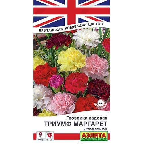 Гвоздика садовая Триумф Маргарет, смесь окрасок Аэлита изображение 1 артикул 40332