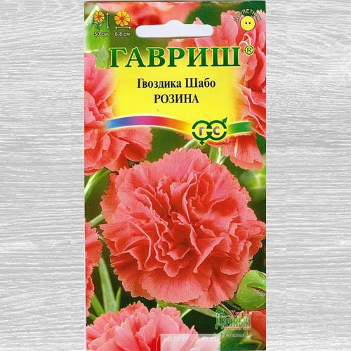 Гвоздика Шабо Розина Гавриш артикул фото 1 Гвоздика Шабо Розина Гавриш изображение 1 артикул 73697