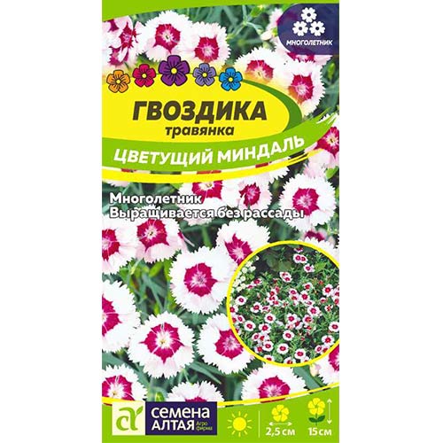 Гвоздика травянка Цветущий миндаль Семена Алтая изображение 1 артикул 81646
