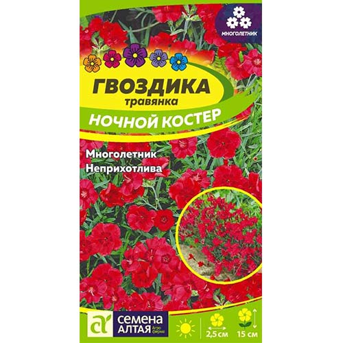 Гвоздика травянка Ночной костер Семена Алтая изображение 1 артикул 81645