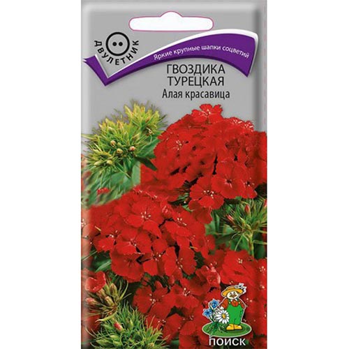 Гвоздика турецкая Алая красавица Поиск изображение 1 артикул 92939