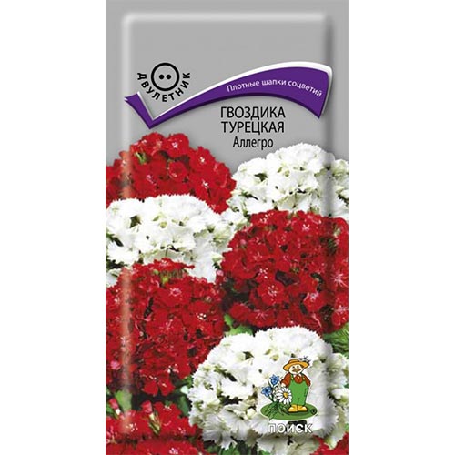 Гвоздика турецкая Аллегро, смесь окрасок Поиск изображение 1 артикул 92940