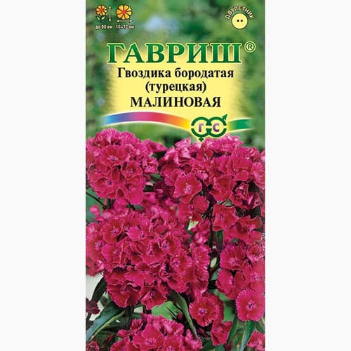Гвоздика (турецкая) бородатая Малиновая Гавриш артикул фото 1 Гвоздика (турецкая) бородатая Малиновая Гавриш изображение 1 артикул 97652