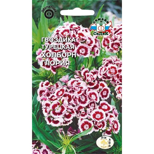 Гвоздика турецкая Холборн Глория Седек изображение 1 артикул 93732