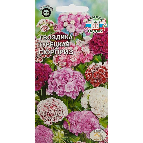 Гвоздика турецкая Сюрприз, смесь окрасок Седек изображение 1 артикул 93730