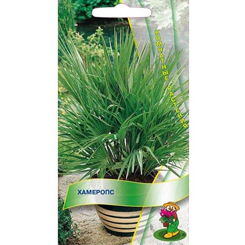 Хамеропс Поиск изображение 1 артикул 93140