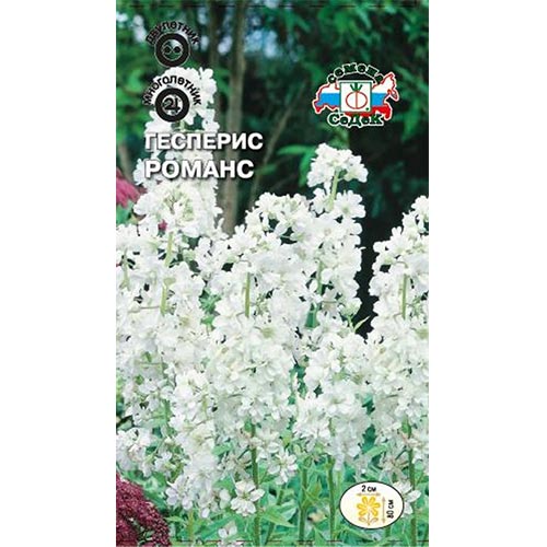 Хесперис (гесперис) Романс Седек изображение 1 артикул 93993