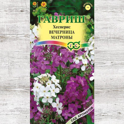 Хесперис Вечерница Матроны, смесь окрасок Гавриш изображение 1 артикул 73709