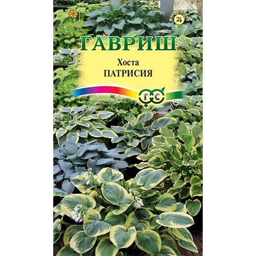 Хоста Патрисия, смесь окрасок Гавриш изображение 1 артикул 92240