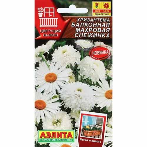 Хризантема балконная Махровая снежинка Аэлита артикул фото 1 Хризантема балконная Махровая снежинка Аэлита изображение 1 артикул 99174