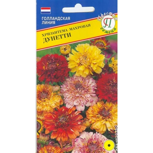 Хризантема Дунетти, смесь окрасок Престиж артикул фото 1 Хризантема Дунетти, смесь окрасок Престиж изображение 1 артикул 84565