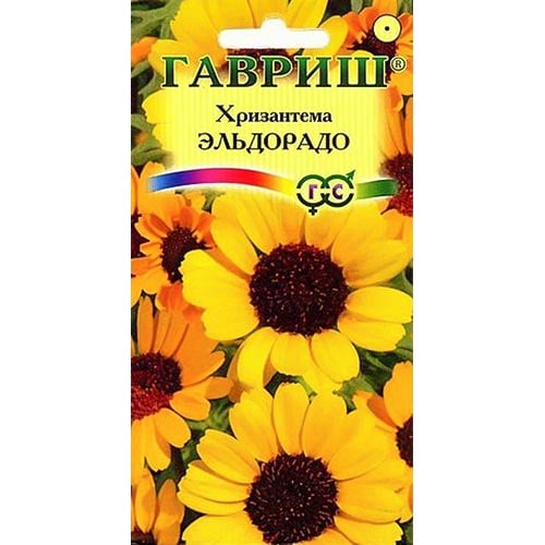 Хризантема Эльдорадо Гавриш изображение 1 артикул 92244