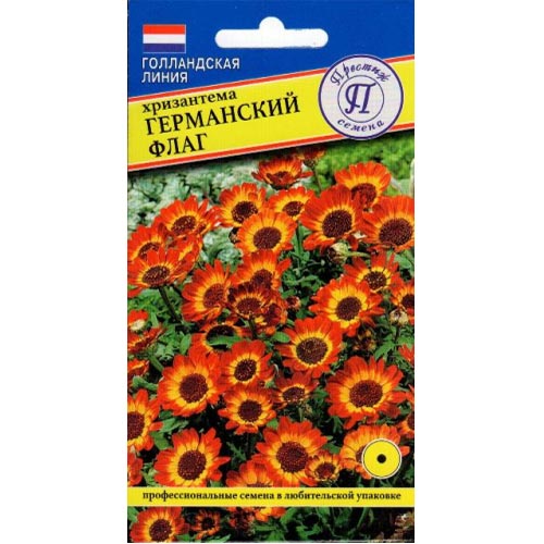 Хризантема Германский флаг Престиж артикул фото 1 Хризантема Германский флаг Престиж изображение 1 артикул 84567