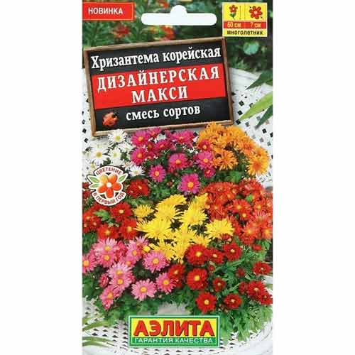 Хризантема корейская Дизайнерская макси, смесь окрасок Аэлита изображение 1 артикул 99175