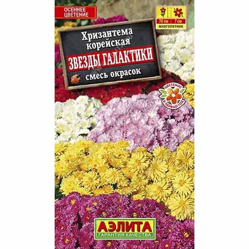 Хризантема корейская Звезды галактики, смесь окрасок Аэлита артикул фото 1 Хризантема корейская Звезды галактики, смесь окрасок Аэлита изображение 1 артикул 99176