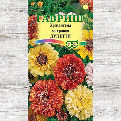 Хризантема Дунетти, смесь окрасок Гавриш артикул фото 1 Хризантема Дунетти, смесь окрасок Гавриш изображение 1 артикул 73924