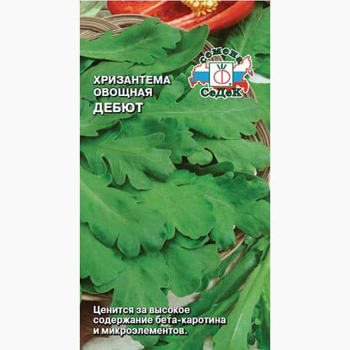 Хризантема овощная Дебют Седек артикул фото 1 Хризантема овощная Дебют Седек изображение 1 артикул 98157