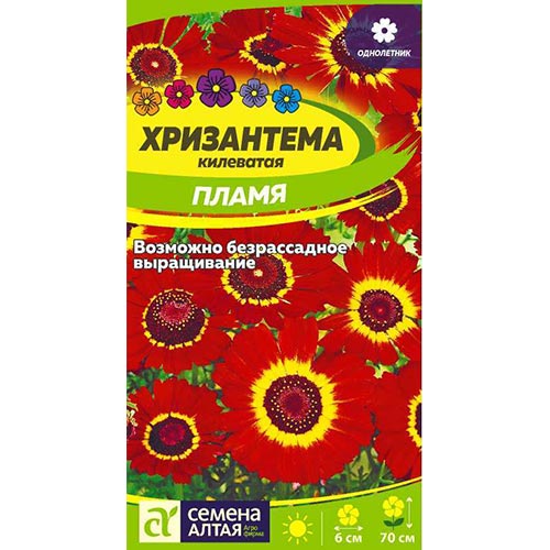 Хризантема Пламя Семена Алтая изображение 1 артикул 94216