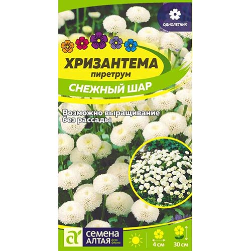 Хризантема Снежный шар Семена Алтая артикул фото 1 Хризантема Снежный шар Семена Алтая изображение 1 артикул 78179