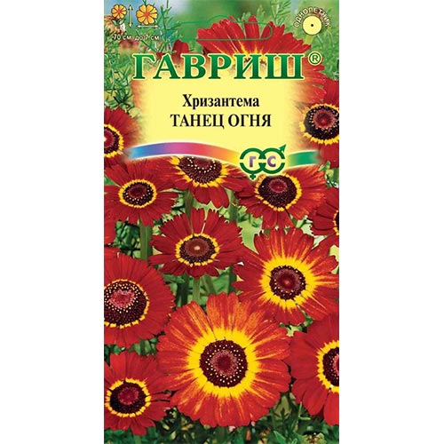 Хризантема Танец огня Гавриш изображение 1 артикул 92243