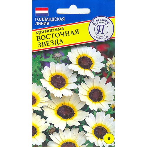 Хризантема Восточная звезда Престиж изображение 1 артикул 84564